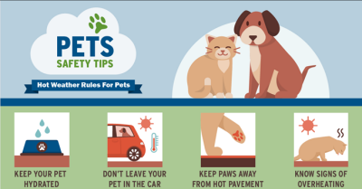 Pet Safety Tips ES