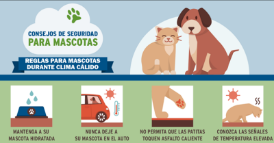 Pet Safety Tips EN